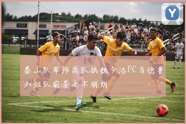 泰山队军师离队执教今治FC马德鲁加归队前景尚不明朗